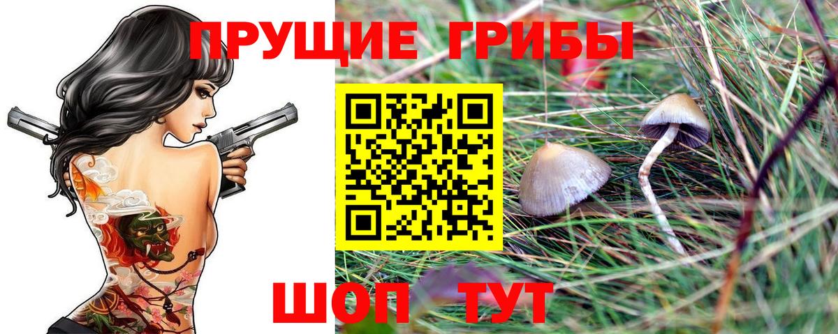Галлюциногенные грибы прущие грибы Евпатория