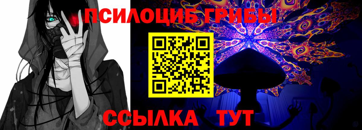 Евпатория  Псилоцибиновые грибы мицелий  Вход с VPN 